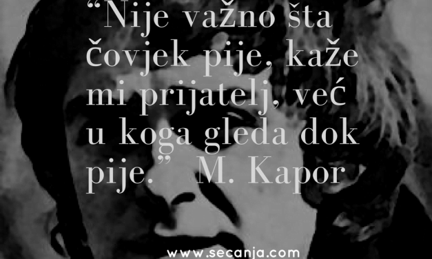 Domaća književnost