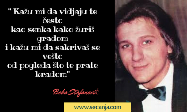 Boba Stefanović biografija