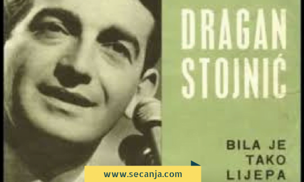 Dragan Stojnić biografija