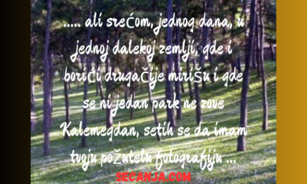 Kovrdžava mala na Kalemegdanu