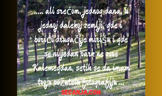 Kovrdžava mala na Kalemegdanu