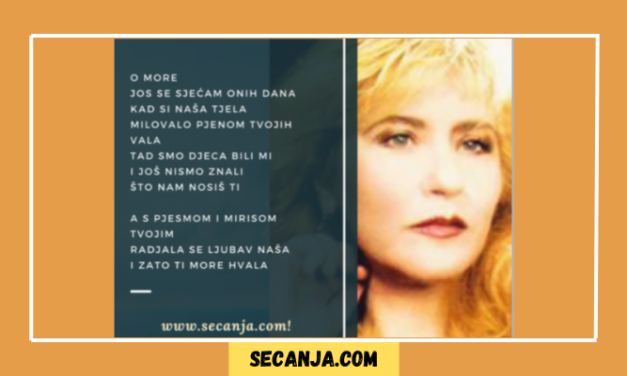 Meri Cetinić – hrvatska pevačica