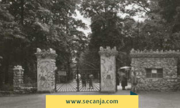 Pionirski Grad Beograd