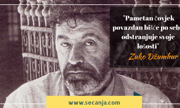 Zuko Džumhur biografija