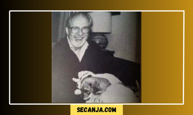 Dragoslav Mihailović