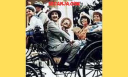 Domaće filmske komedije