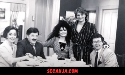 Domaća serija Bolji život