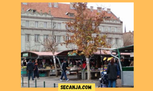 Opet je subota – novosadska riblja pijaca