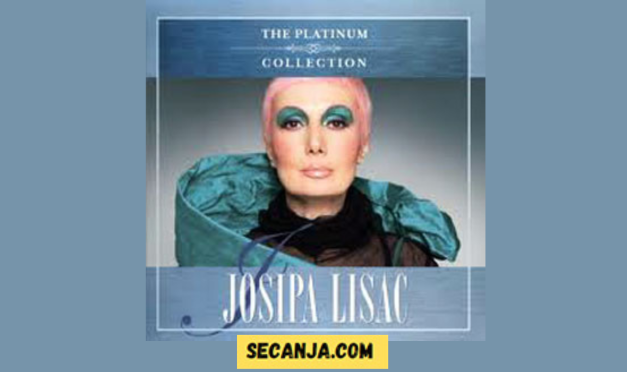 Jugoton hitovi – The best of the platinum collection