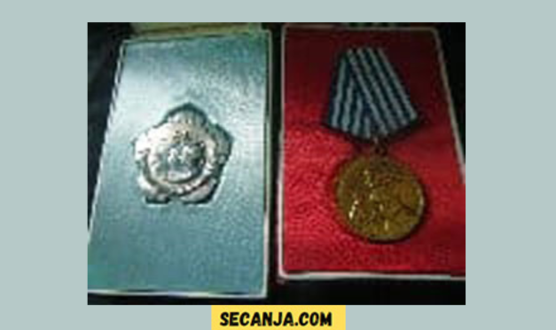 Šta ću biti kad porastem …