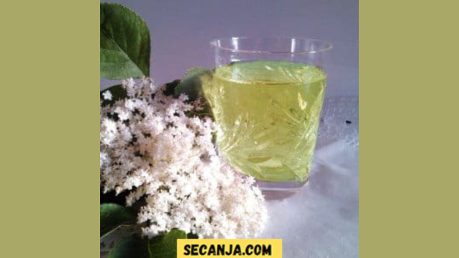 Sirup od zove – recept