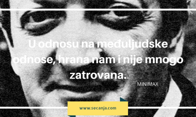 Milovan Ilić Minimaks biografija