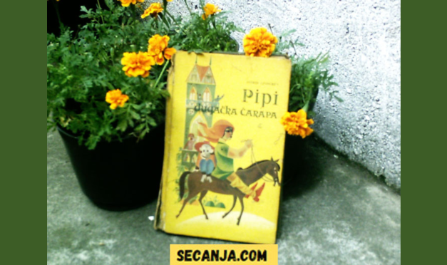 Nije fer da zaboravite vašu Pipi