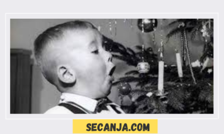 Iznenadi nas godino Nova