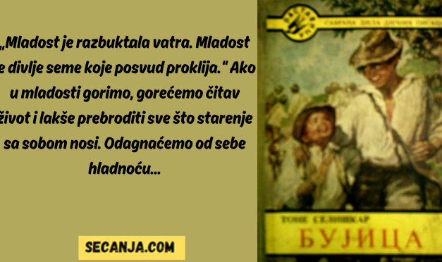 Bruji mi Seliškarova „Bujica“ kroz glavu