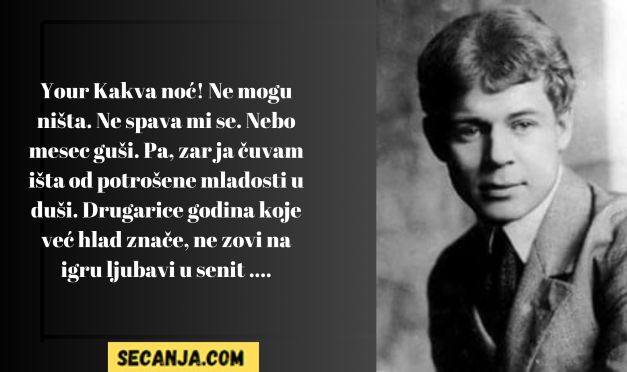 Strani pisci i pesnici – galerija uspomena