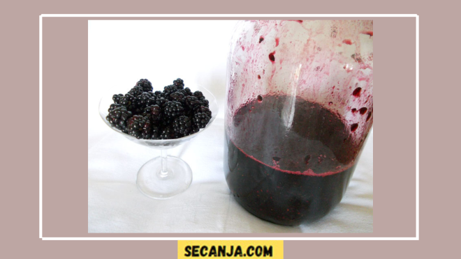 Vino od kupina po bakinom receptu