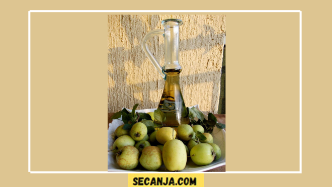 Domaće jabukovo sirće