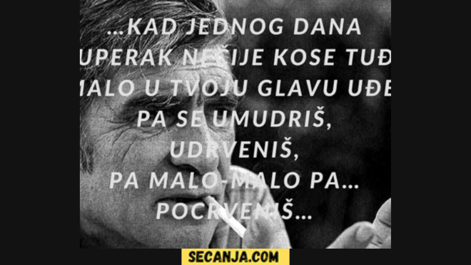 Miroslav Mika Antić biografija i pesme