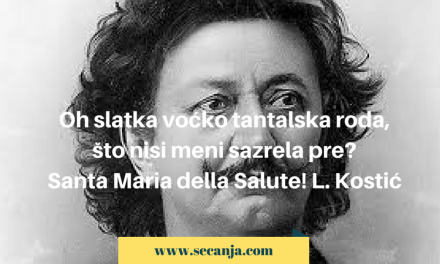 Laza Kostić biografija i pesme