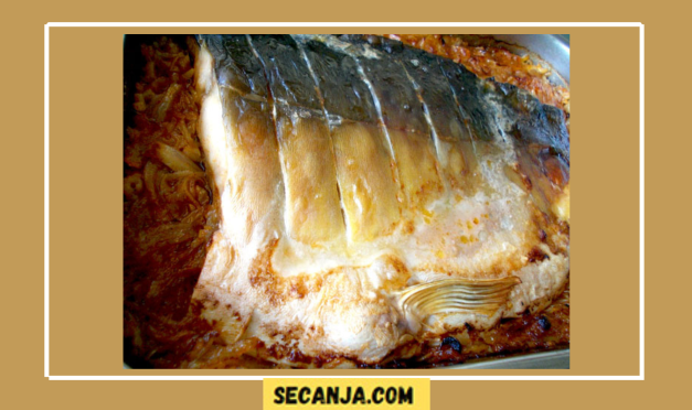 Šaran na luku – starinski recept