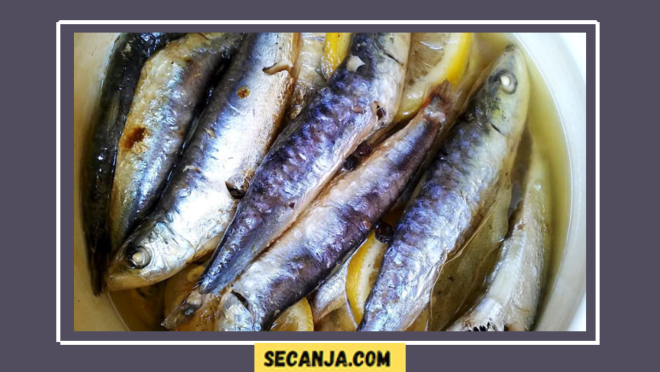 Domaće sardine – recept
