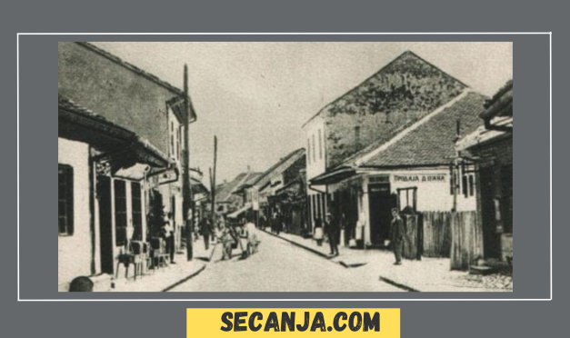 Kad dođeš u bilo koji grad  – Matija Bećković