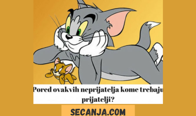 Citati i mudre misli o prijateljstvu