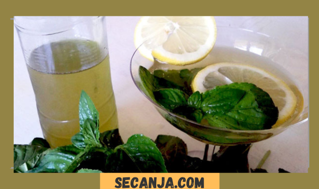 Domaći sirup od nane – recept