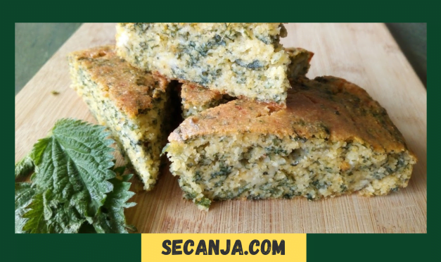 Bakina projara sa koprivom – recept