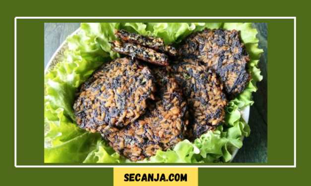 Posne pljeskavice od koprive – recept