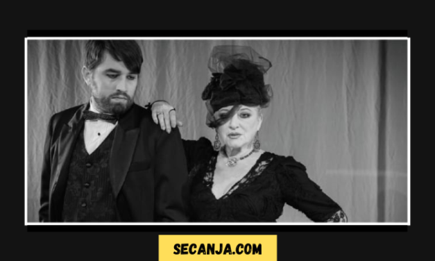 Gospoda Glembajevi – sunovrat jedne građanske porodice