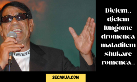 Šaban Bajramović – biografija kralja romske muzike