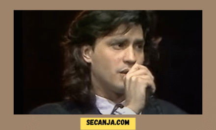 Vlado Kalember biografija