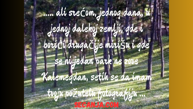 Kovrdžava mala na Kalemegdanu