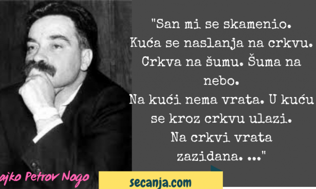 Rajko Petrov Nogo