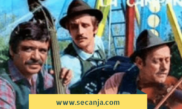 Domaća serija Muzikanti