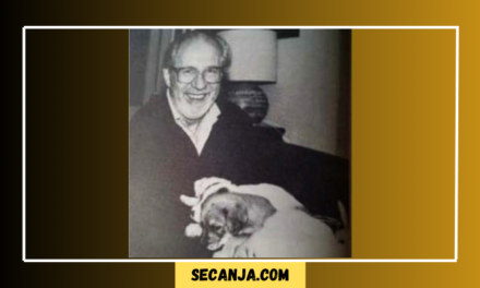 Dragoslav Mihailović