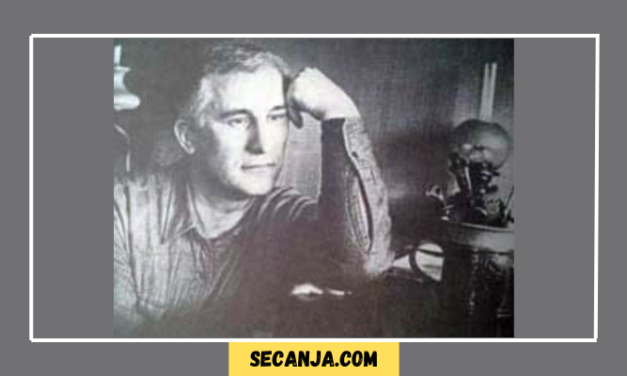 Matija Bećković biografija