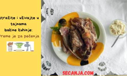 Bakina pečenja i ostala mesa