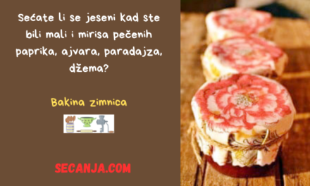 Bakina zimnica