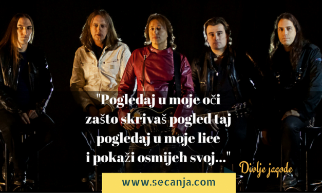 Divlje Jagode biografija i pesme