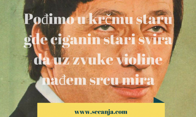 Bora Spužić Kvaka biografija i pesme