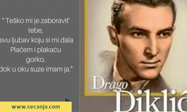 Drago Diklić biografija