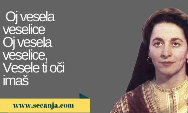 Ksenija Cicvarić biografija i pesme