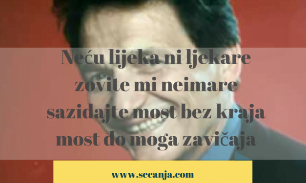 Nedeljko Bilkić biografija i pesme