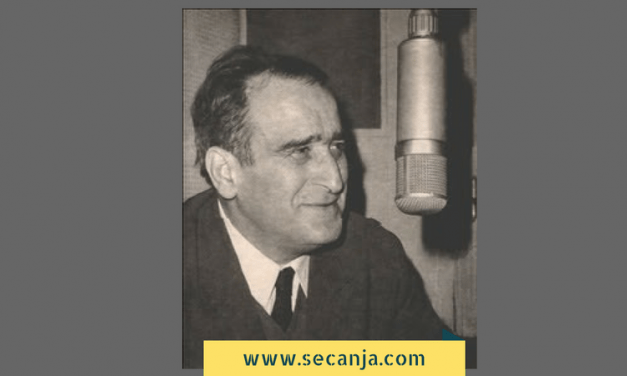 Radivoje Marković – biografija