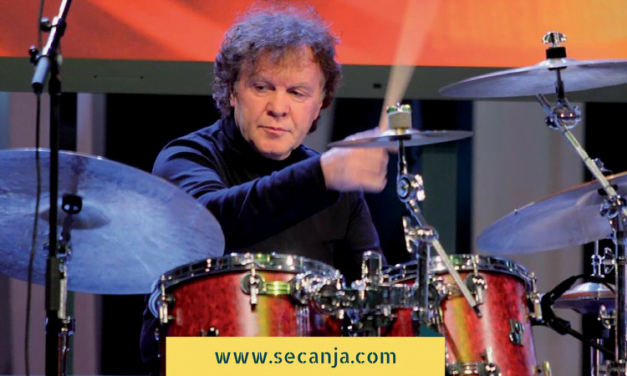 Ratko  Divjak biografija