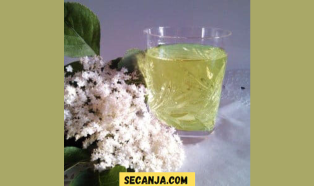 Sirup od zove – recept