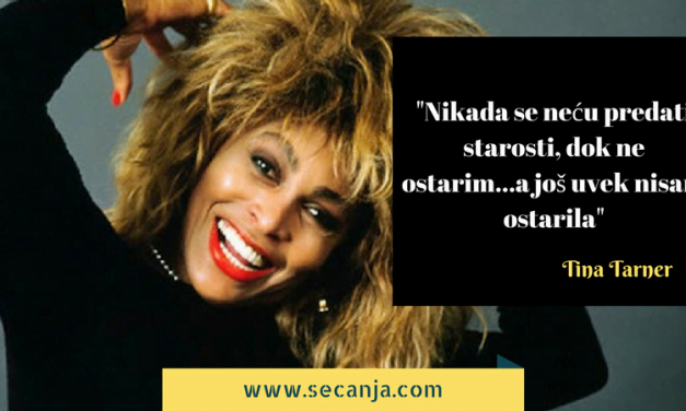 Tina Tarner biografija